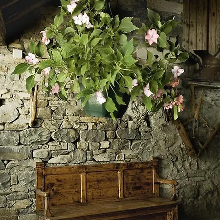 Апартаменты Casa Buisan *